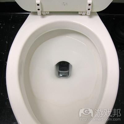 phone In The Toilet(from gizmodo.com)