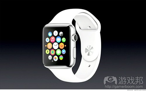 Apple Watch(from cnn)